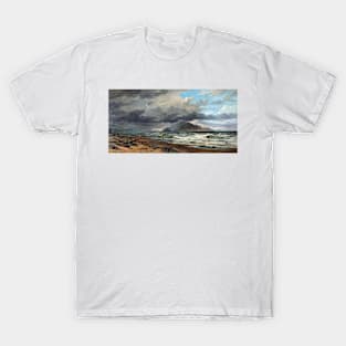 Nicholas Chevalier Cook Strait, New Zealand T-Shirt